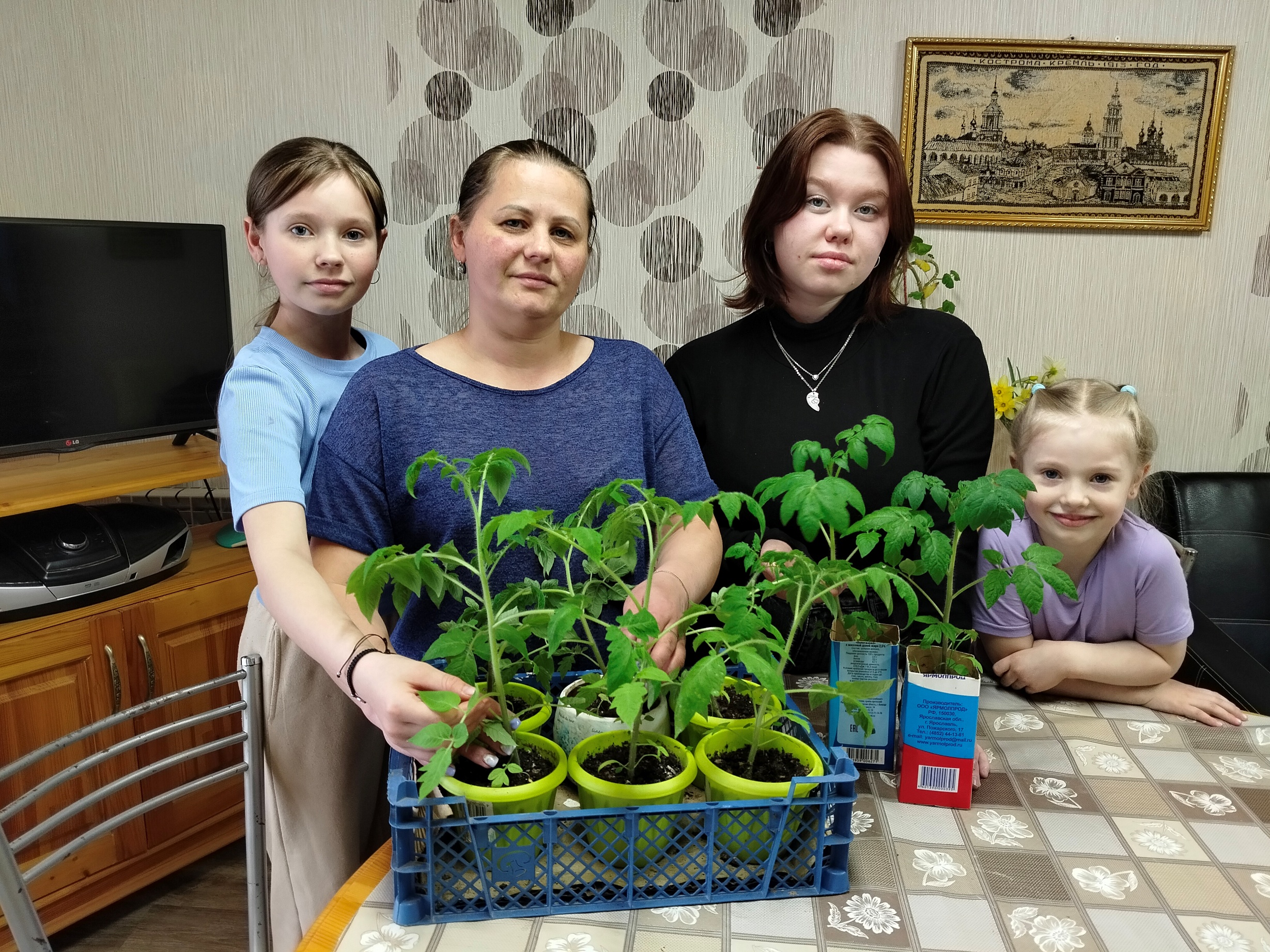Кострома: дачные пикировки