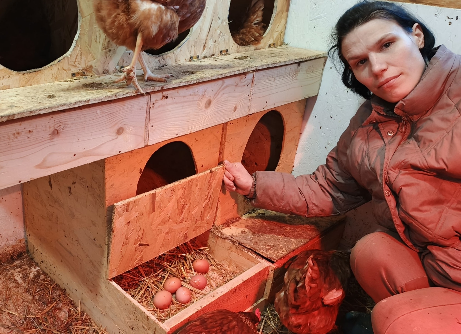 Кострома: дачные конструкции