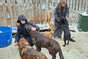 Владимир: Клуб наставников